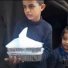Gaza Emergency Appeal - Image 3